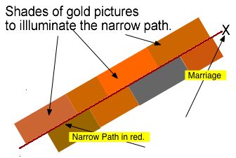 Golden pictures a-side the narrow path